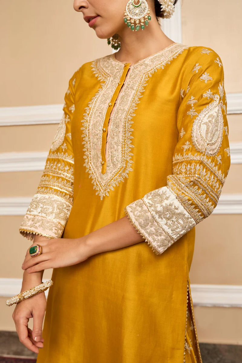 RAINA- Kurta with Sharara and dupatta