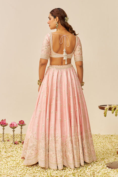 Fida - Lehenga With Blouse And Dupatta (Blush Pink)