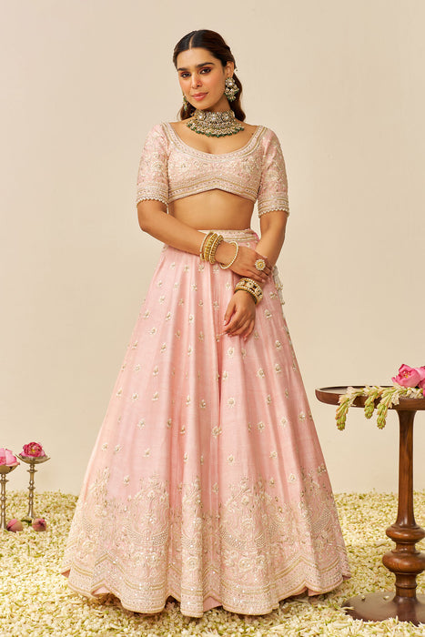 Fida - Lehenga With Blouse And Dupatta (Blush Pink)