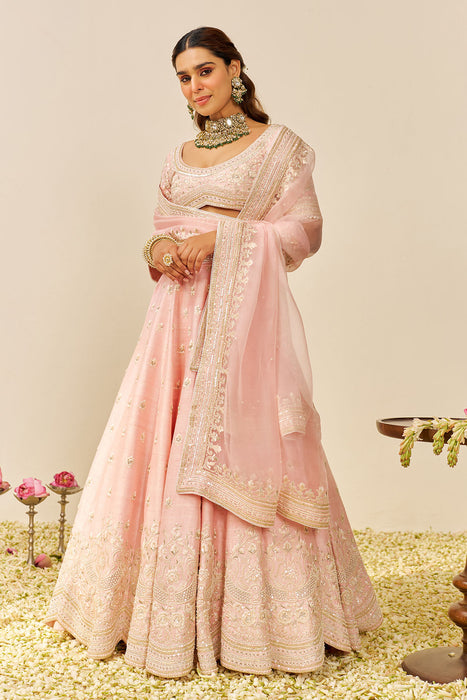 Fida - Lehenga With Blouse And Dupatta (Blush Pink)