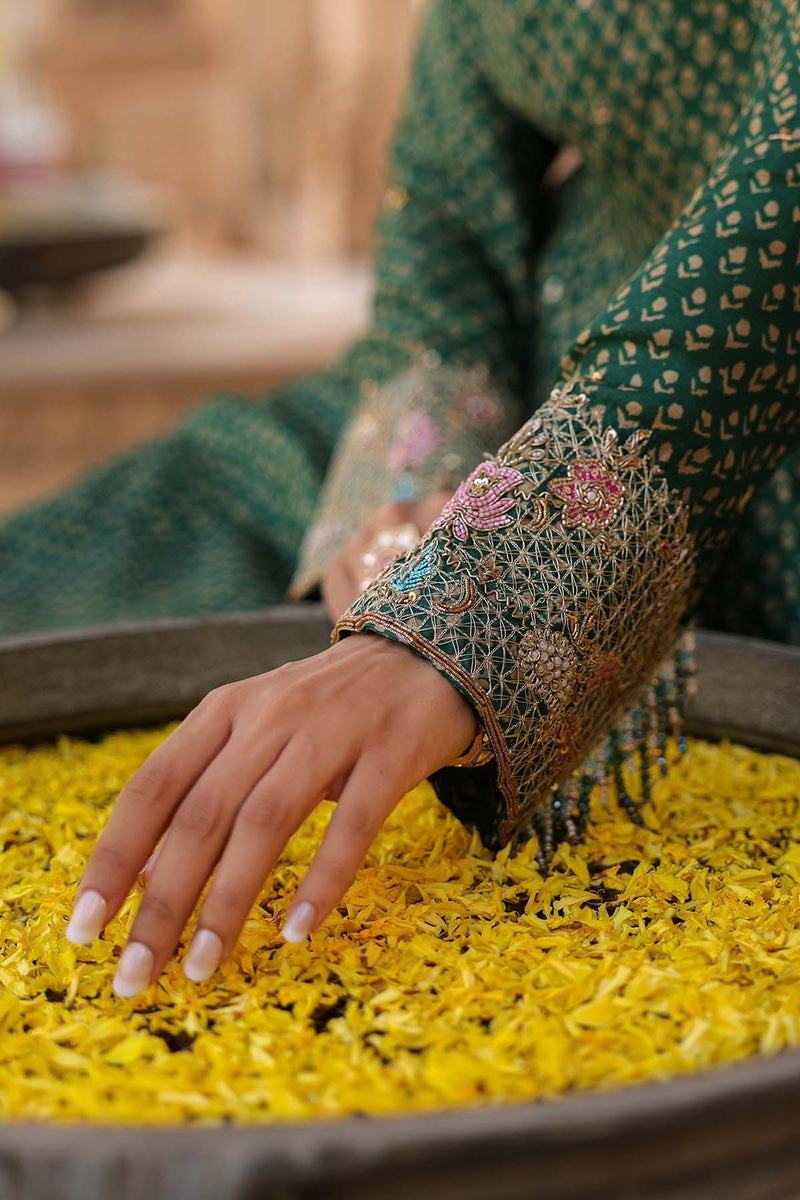 Riwayat Printed kalidar set