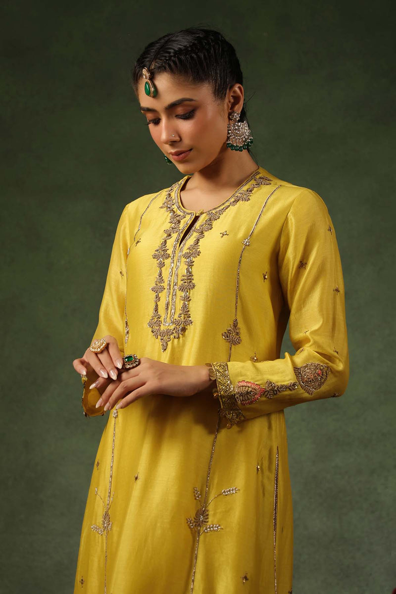 PAKEEZAH ZARDOSI PATTI BUTA JODA SUNEHRA