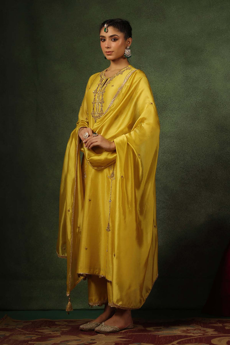 PAKEEZAH ZARDOSI PATTI BUTA JODA SUNEHRA