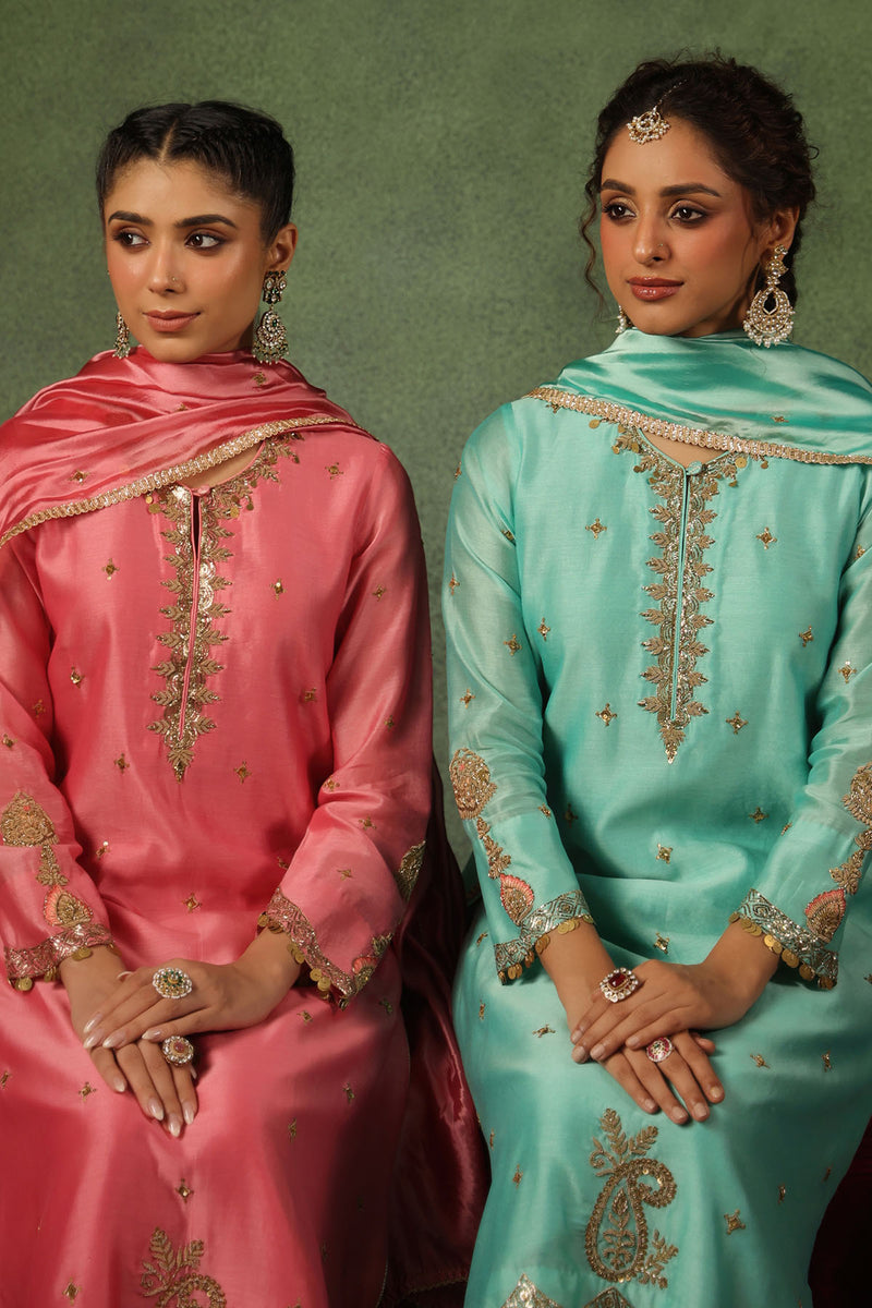 PAKEEZAH AMBI BUTA JODA GULABI