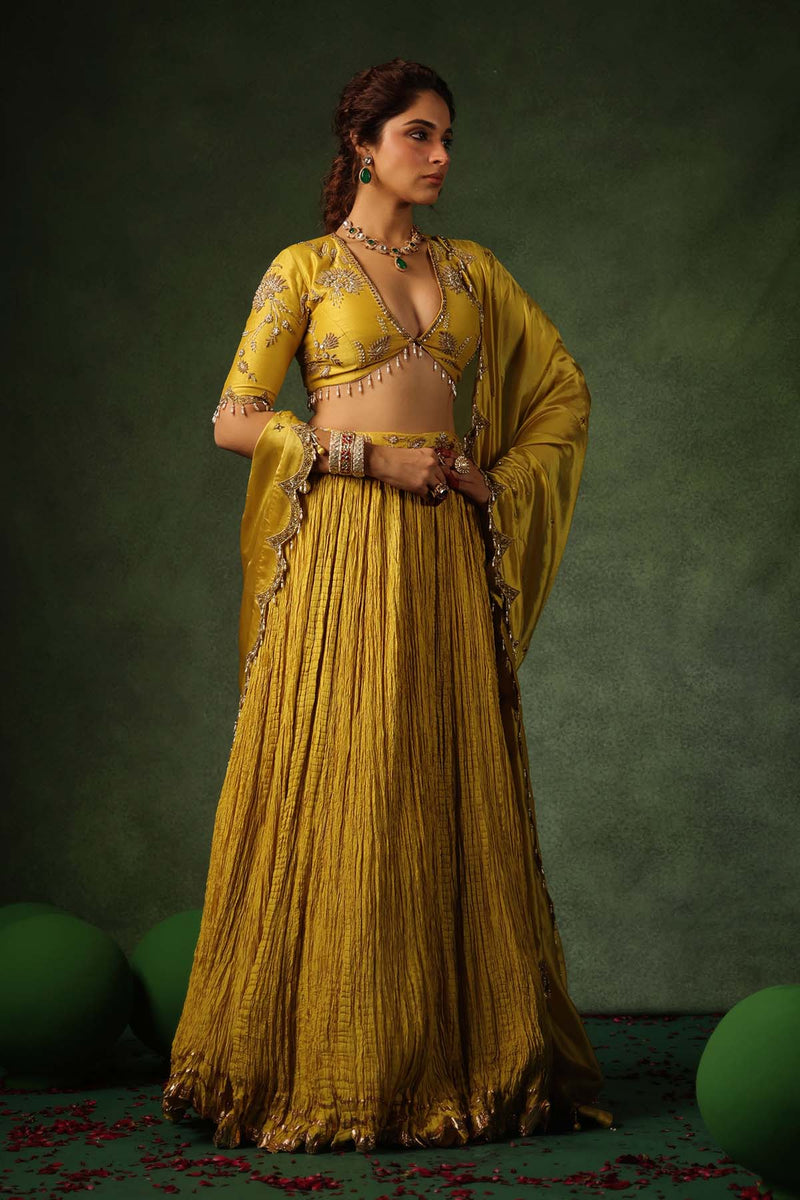 PAKEEZAH ZARDOSI BUTA LEHENGA SUNEHRA