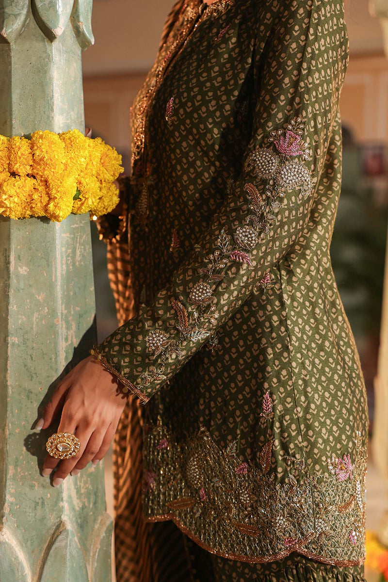Riwayat Printed Sharara set