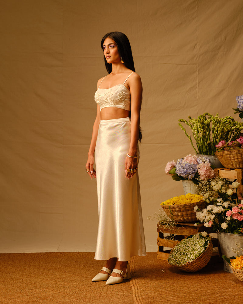 Rose Embroidered crop top