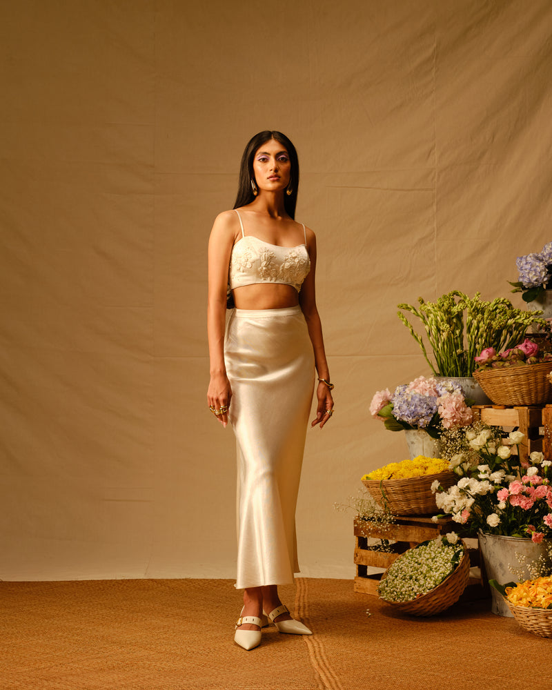 Rose Embroidered crop top