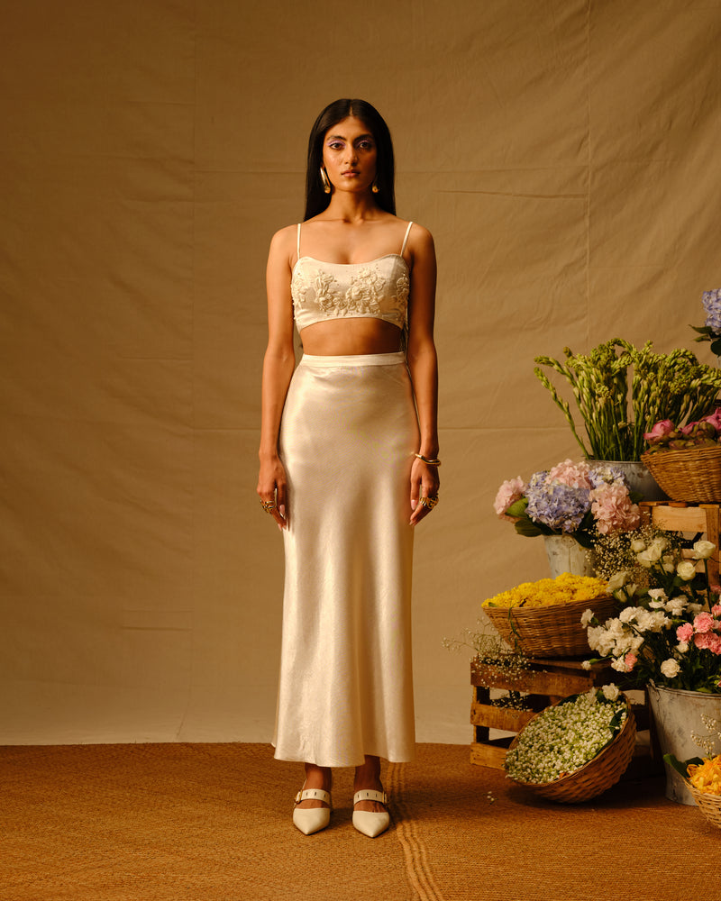 Rose Embroidered crop top