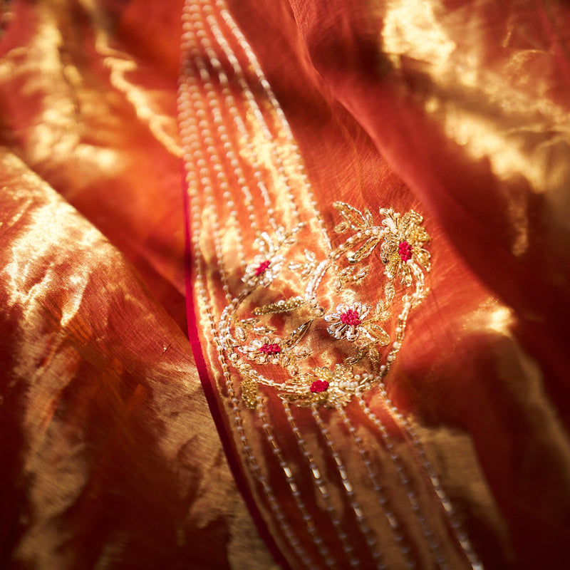 Ashni tissue saree - Burnt orange
