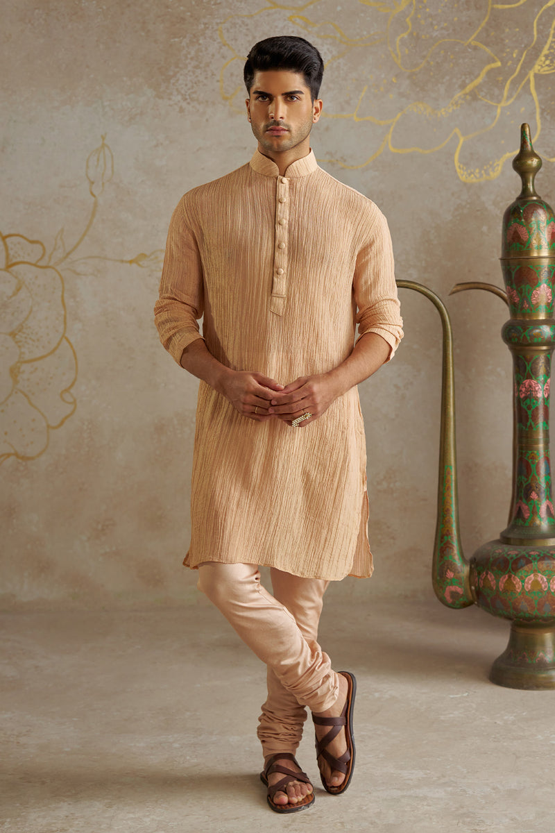 Blush Tissue Kurta Set
