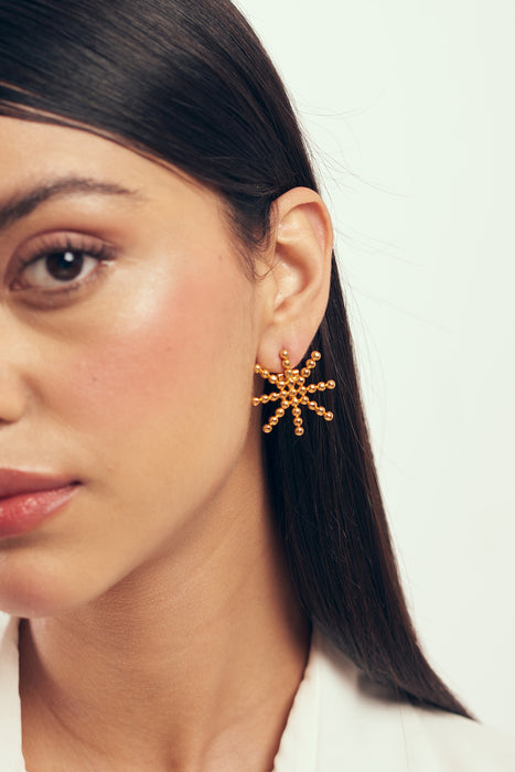 Vega studded Earrings