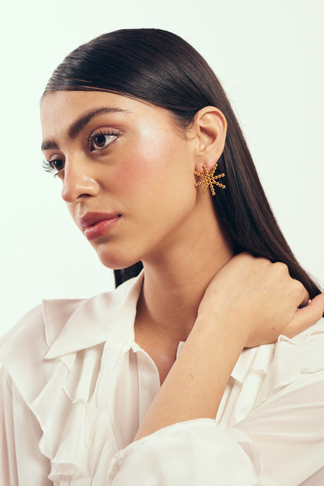 Vega studded Earrings