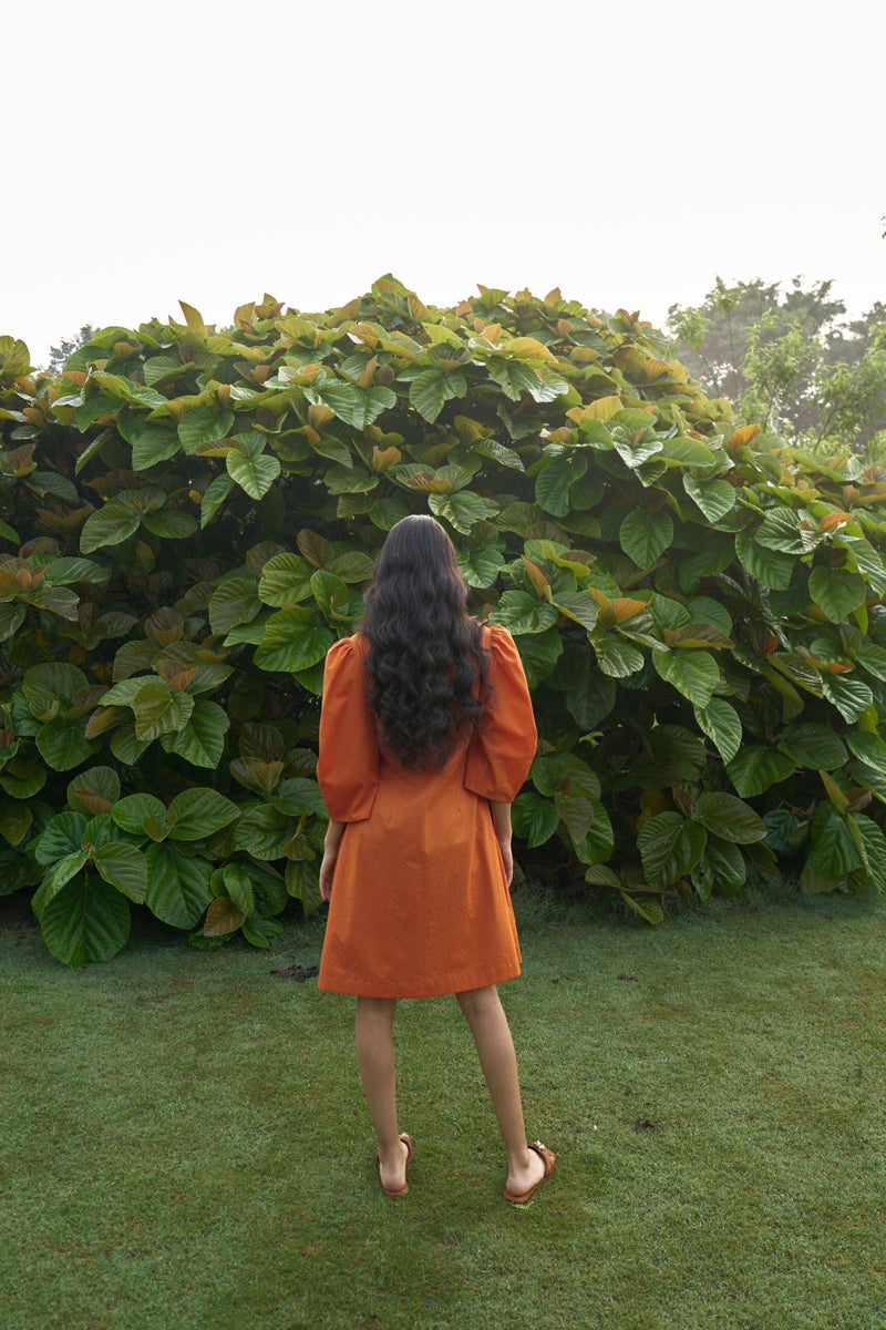Alani Summer Dress