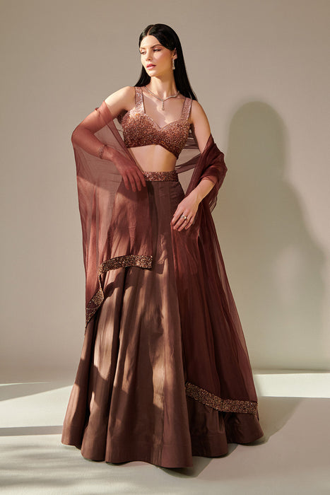 Earthy Brown Ombre Shaded Lehenga Set