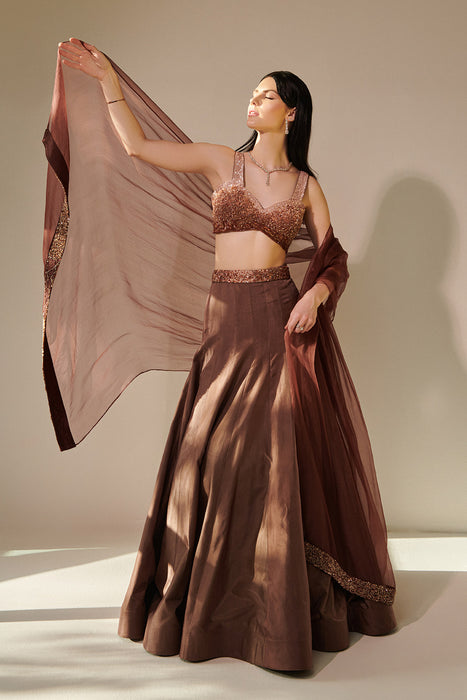 Earthy Brown Ombre Shaded Lehenga Set