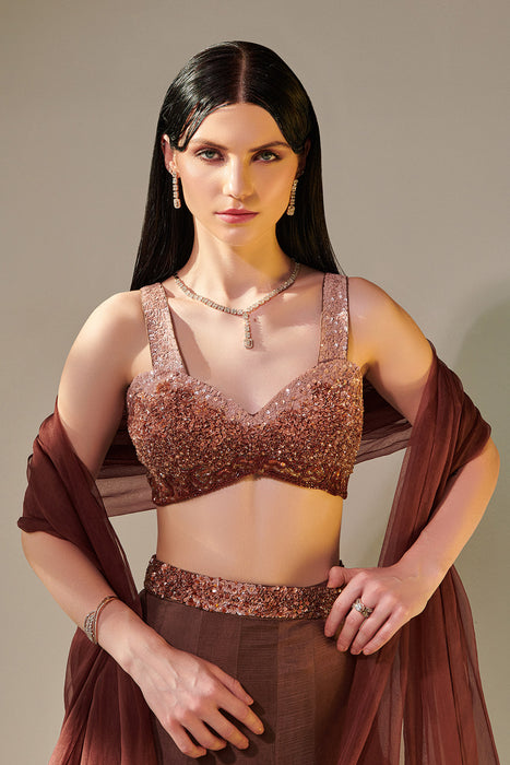 Earthy Brown Ombre Shaded Lehenga Set