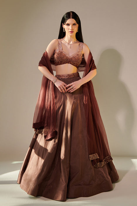 Earthy Brown Ombre Shaded Lehenga Set