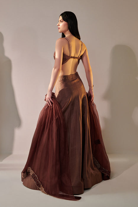 Earthy Brown Ombre Shaded Lehenga Set