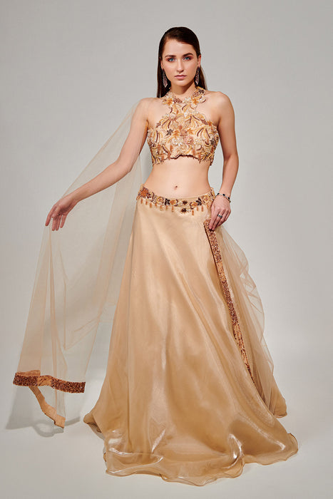 Metallic Fluid Organza Lehenga, Crepe Blouse And Tulle Dupatta