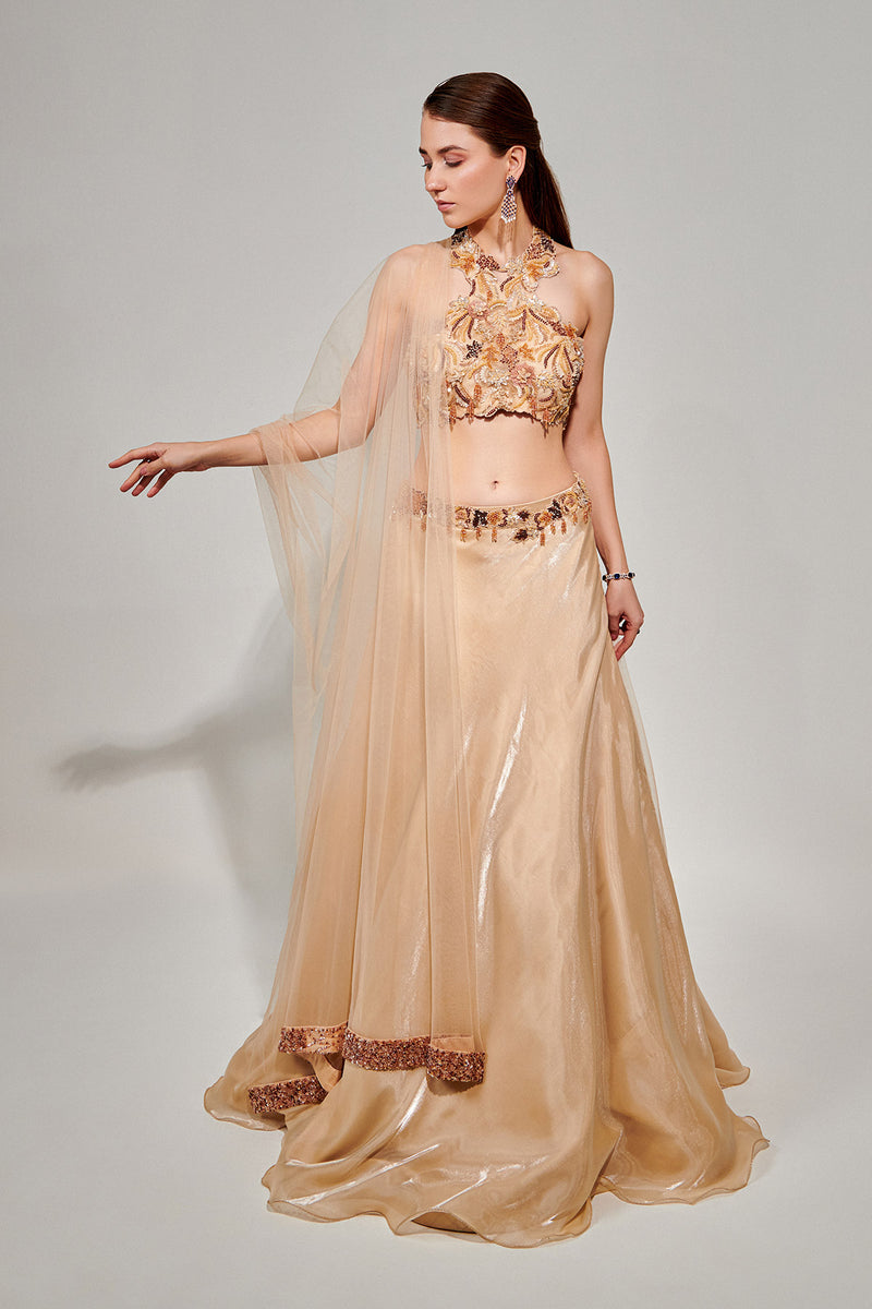 Metallic Fluid Organza Lehenga, Crepe Blouse And Tulle Dupatta