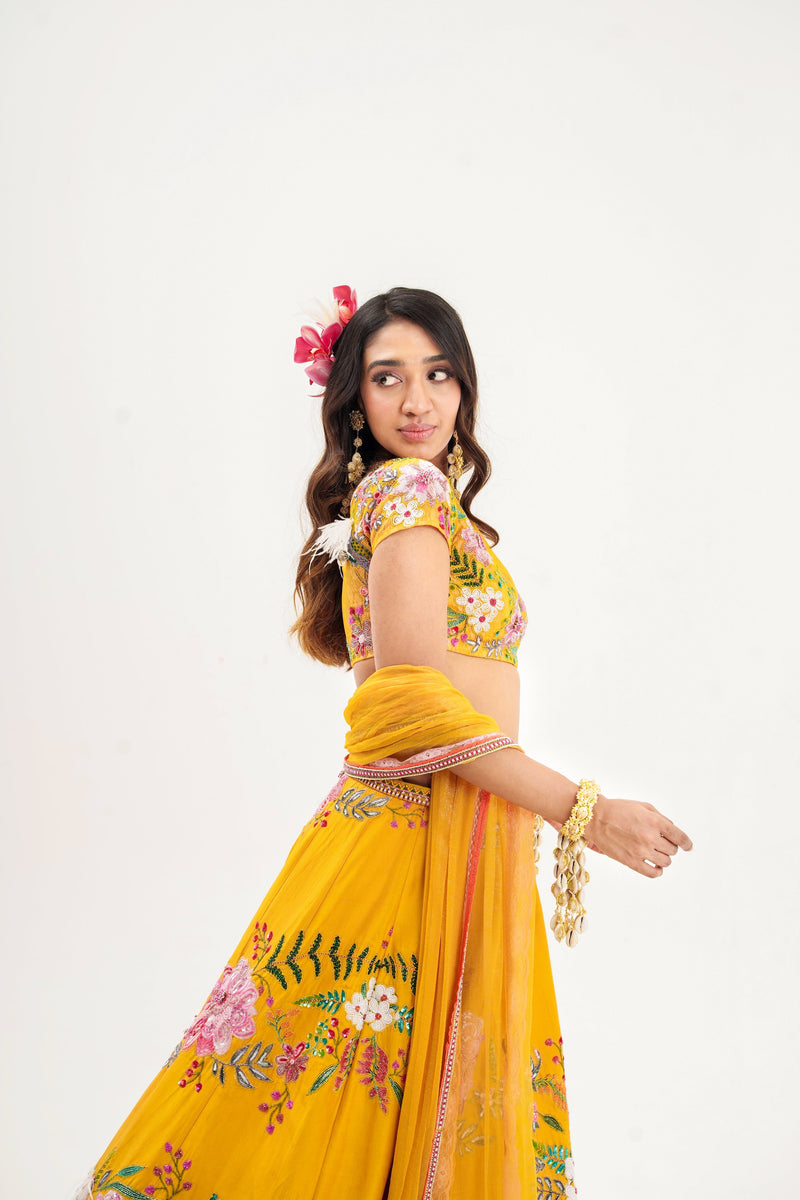 Ornate-nakshatra mustard hand embroidered lehenga set