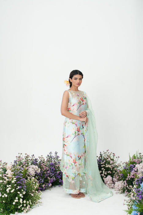 Lilium - Ice blue kurta set with dupatta