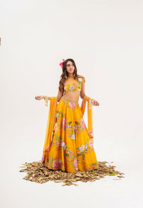 Ornate-nakshatra mustard hand embroidered lehenga set