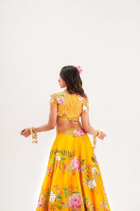 Ornate-nakshatra mustard hand embroidered lehenga set