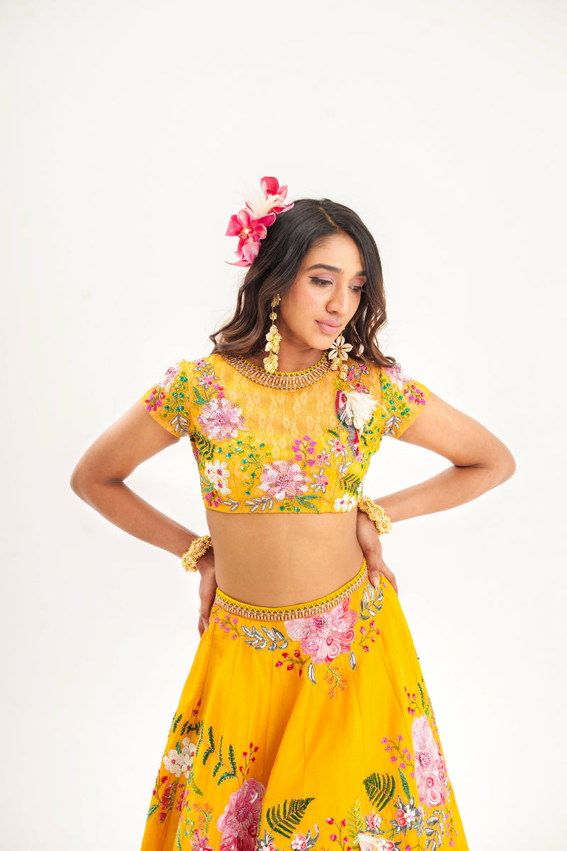 Ornate-nakshatra mustard hand embroidered lehenga set