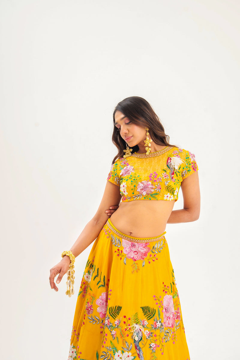Ornate-nakshatra mustard hand embroidered lehenga set