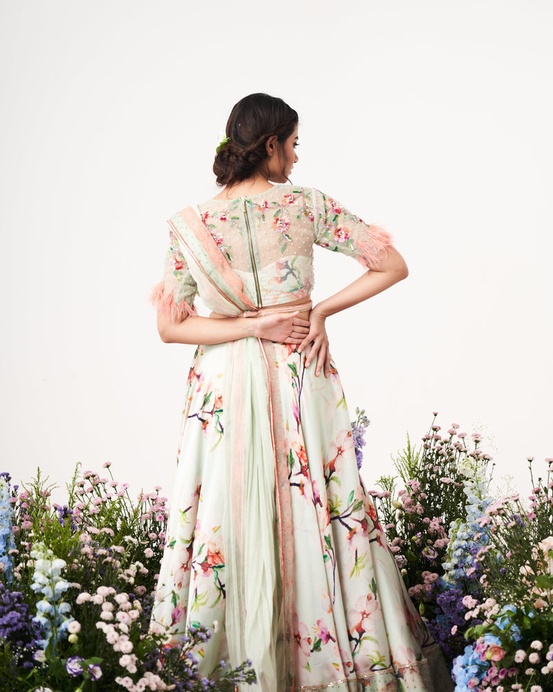 Lilium - creme De mint Lehenga set