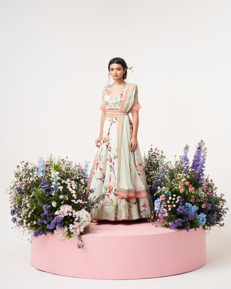 Lilium - creme De mint Lehenga set