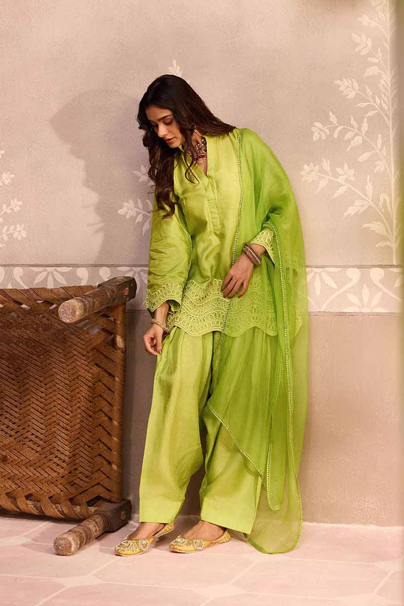 Parrot Green Dola Silk Farsi Salwar Set