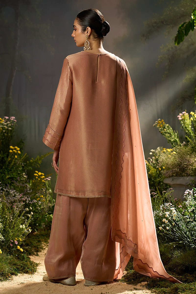 Rose Dawn Tissue Silk Festive Kurta Set