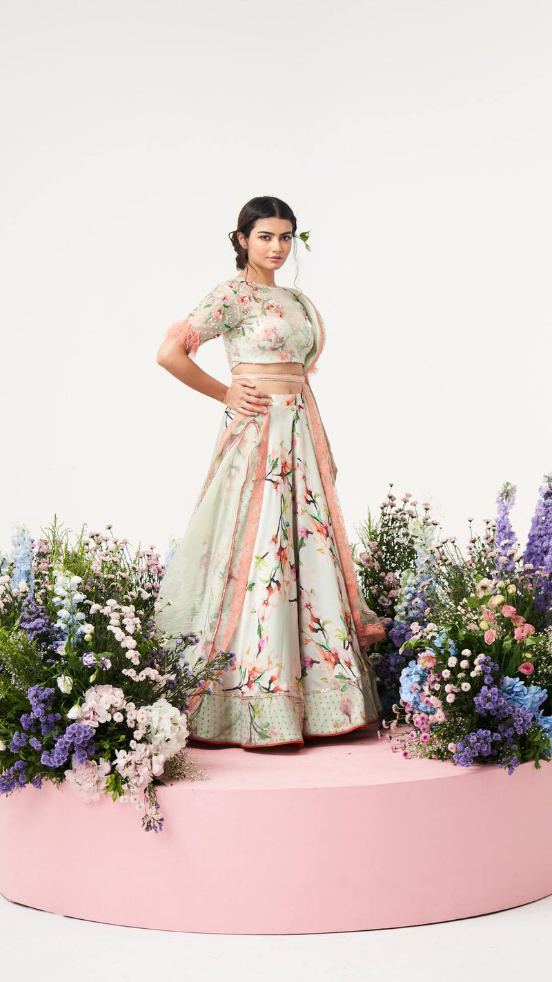 Lilium - creme De mint Lehenga set