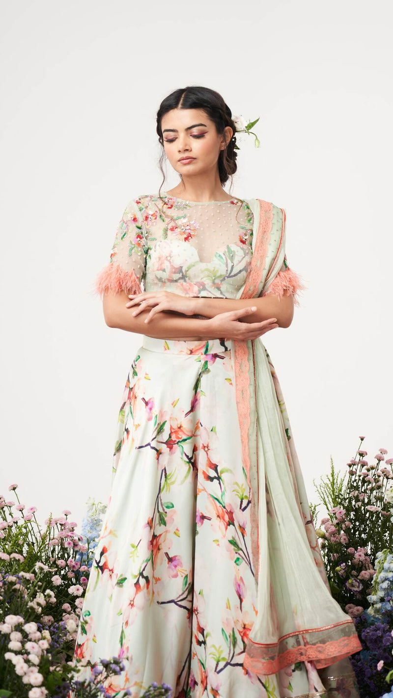Lilium - creme De mint Lehenga set