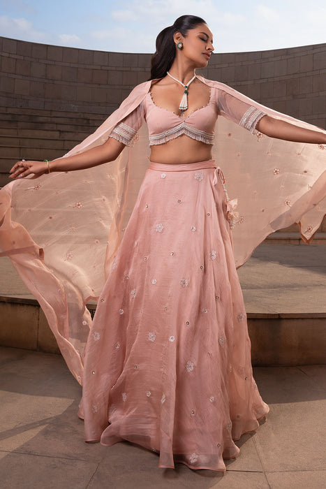 Blush Buti Lehenga Set