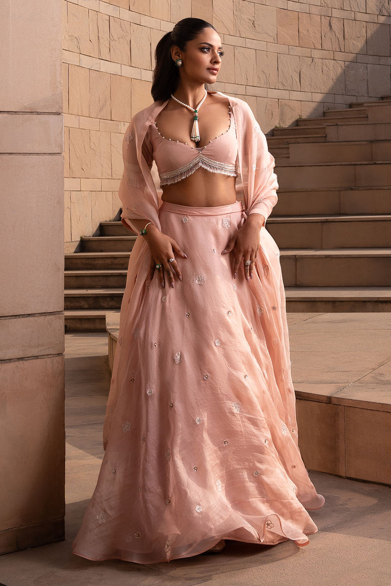 Blush Buti Lehenga Set
