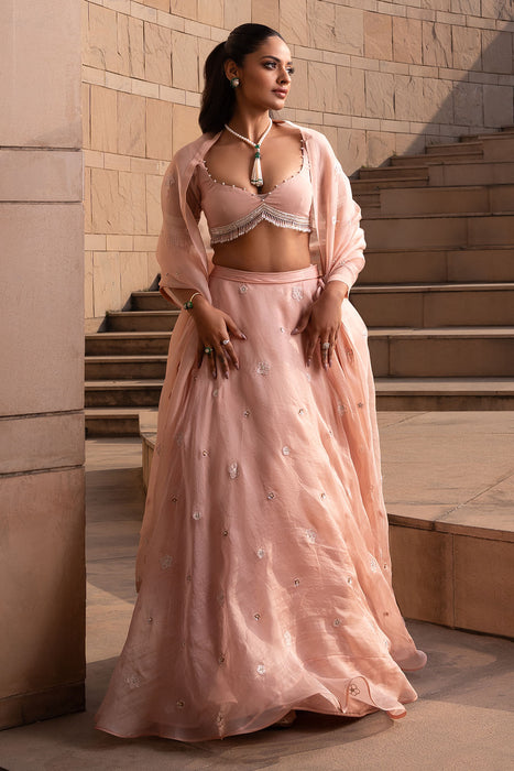 Blush Buti Lehenga Set