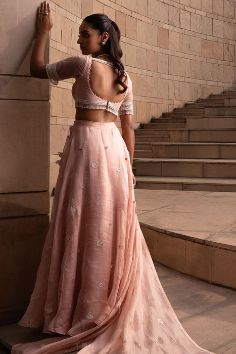 Blush Buti Lehenga Set