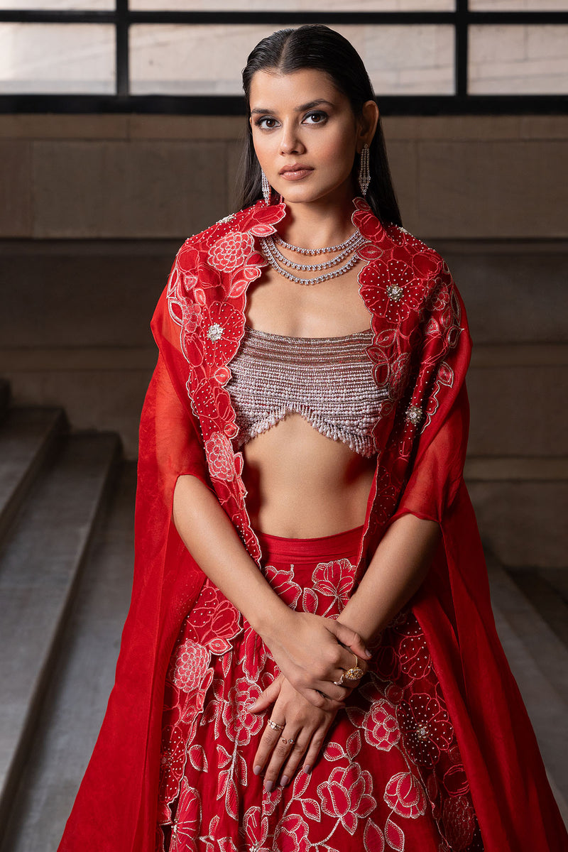 Crimson Jaal Cape and Lehenga Set